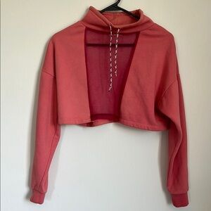 Silence + Noise Pink Sheer Cropped Sweatshirt with Mock Neck